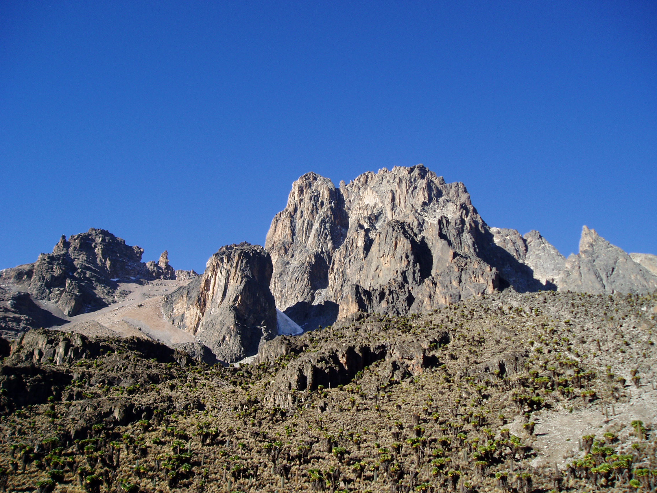 Mount Kenya National Park Destinations Wild Escape Camping And Safari